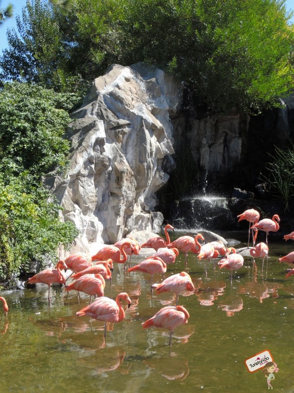 Temaiken - o famoso bio parque de Buenos Aires