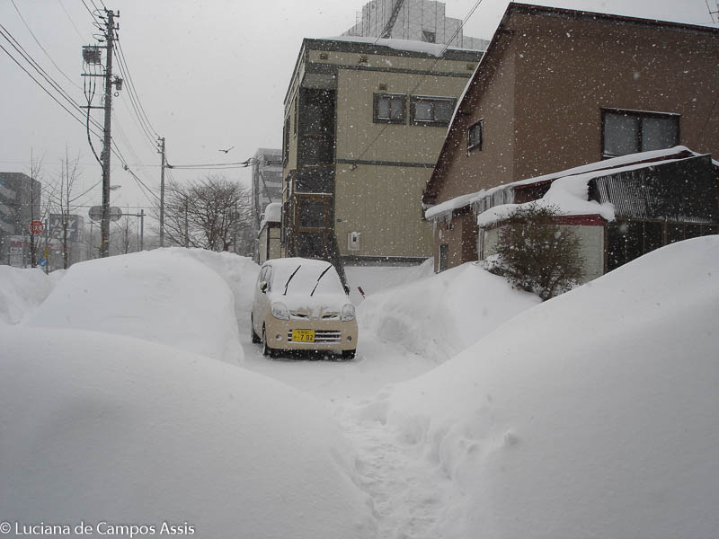 Sapporo, Otaru E O Festival De Neve Em Hokkaido - Norte Do Japão 